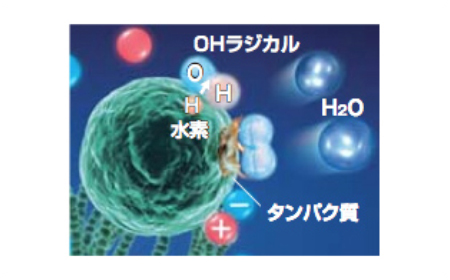Image of eliminating airborne mold