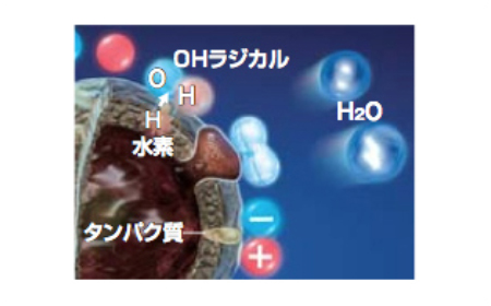 浮遊菌・除去イメージ
